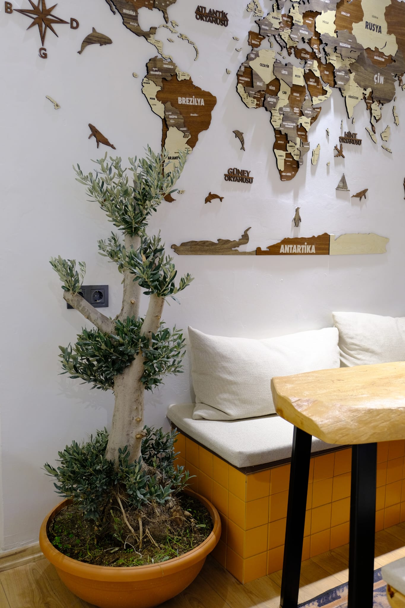 Mugla Speciality Coffe & Cafe & more